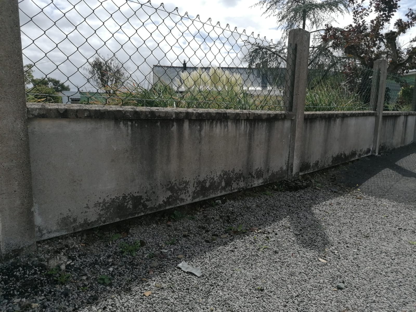 Photo 2022 04 20 12 18 16