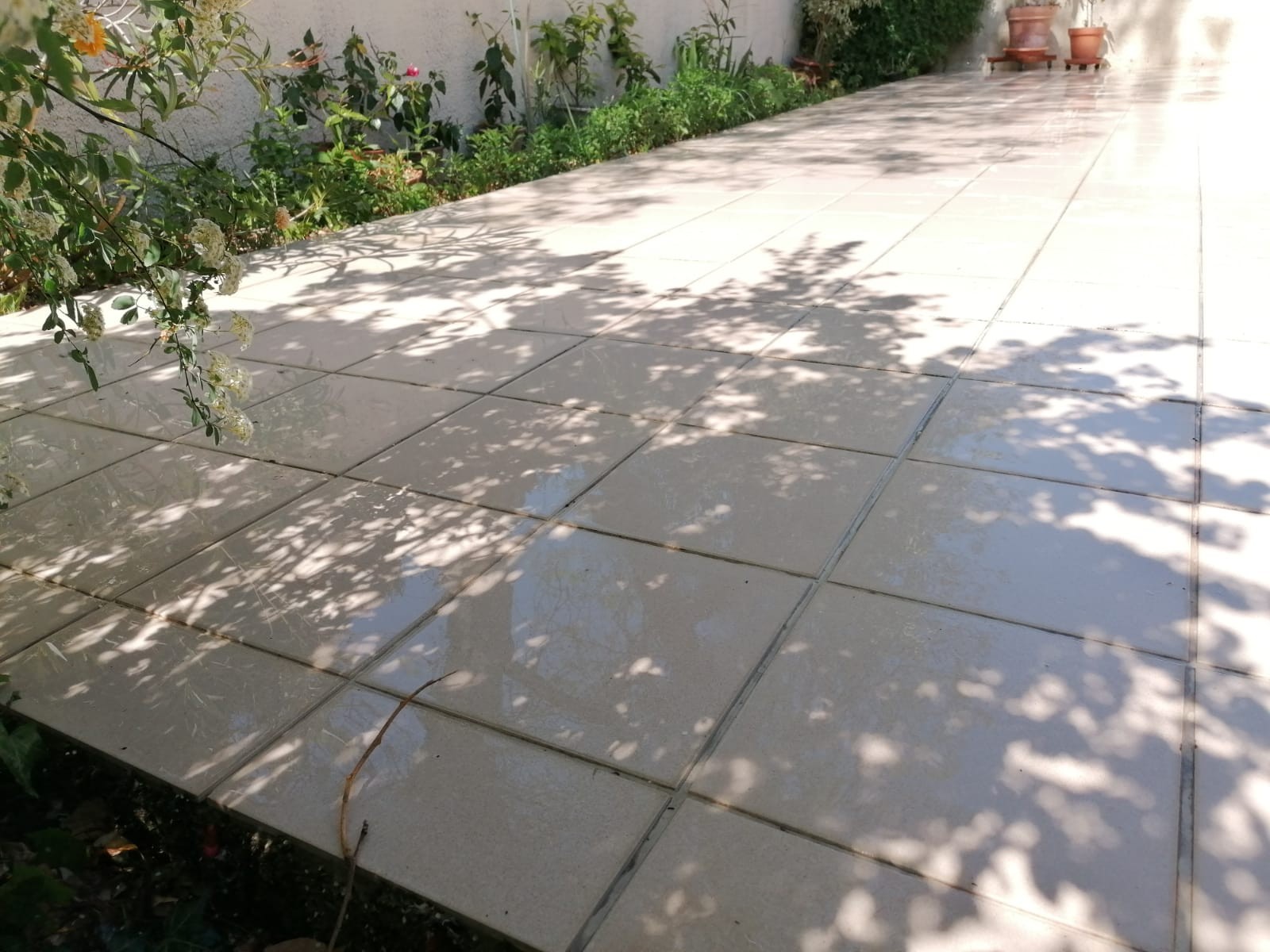 Photo 2022 04 20 12 18 37 3